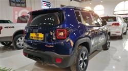 جيب رينيجيد